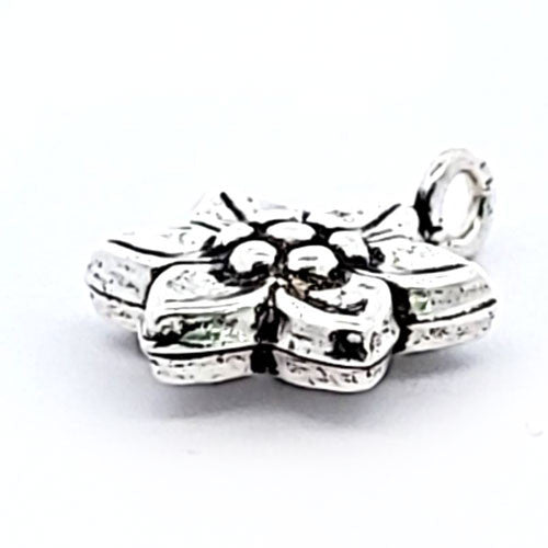 Silber-Element Edelweiß - 2