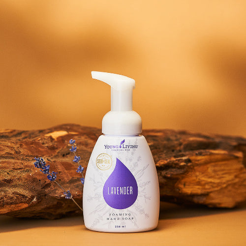 Lavendel Seifenschaum - Young Living Essential Oil Young Living Essential Oils - 2