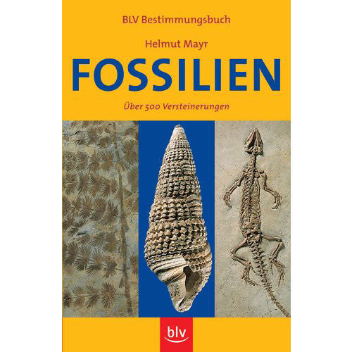 Fossilien: Über 500 Versteinerungen, Helmut Mayr - 1