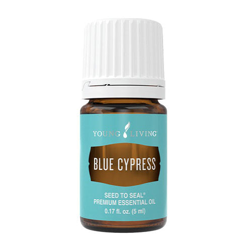 Blue Cypress 5 ml (Blaue Zypresse) - Young Living Aromaöl