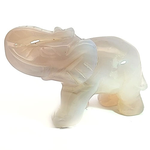 Elefant Achat