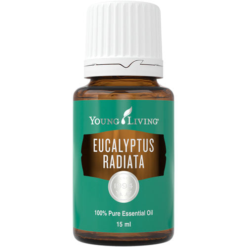Eukalyptus Radiata 15 ml - Young Living Aromaöl