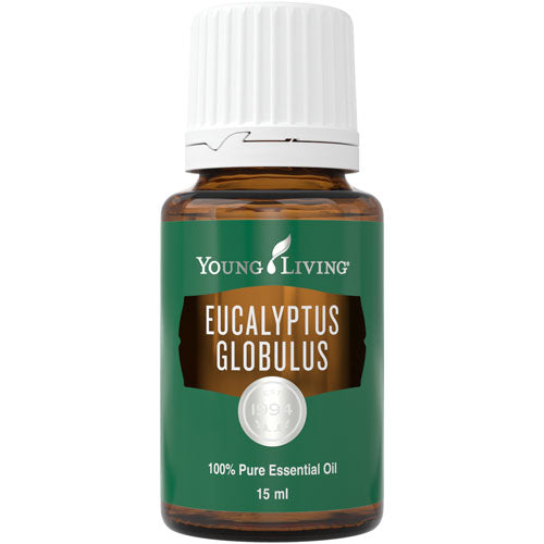 Eukalyptus Globulus 15 ml - Young Living Aromaöl