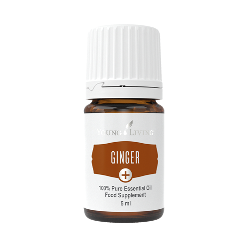 Ginger (Ingwer)+ 5 ml - Young Living Ätherische Essenz