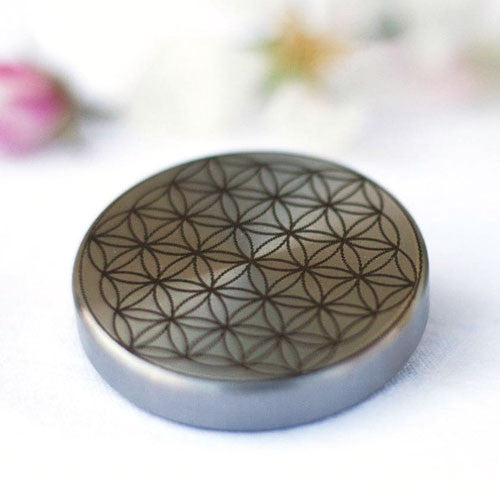 Körpergleiter Eicher Music - 4