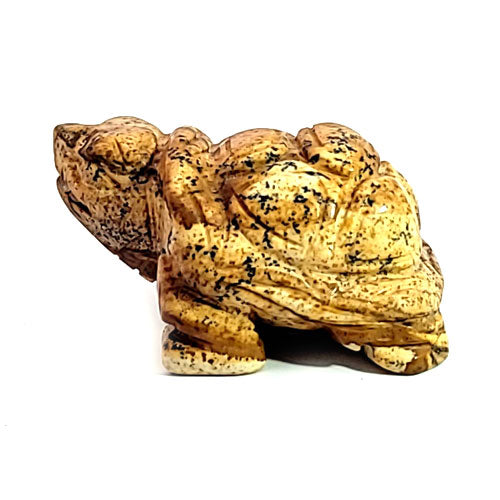 Schildkröte Bilderjaspis