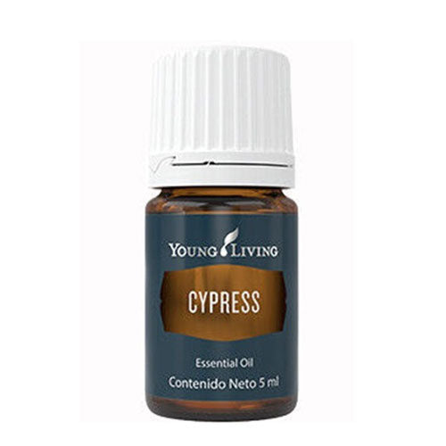 Zypresse-5-ml-Young-Living