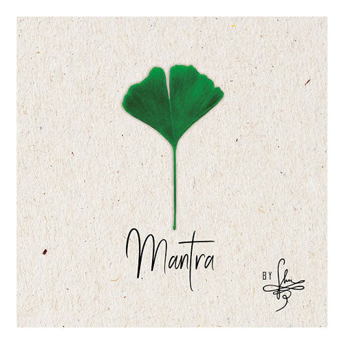 Mantra microSD Klangkarte