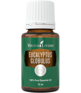 Eukalyptus Globulus 15ml - Young LIving Young Living Essential Oils - 1