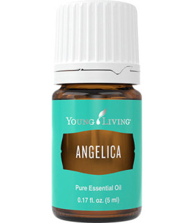Angelica 5ml - Young Living Young Living Essential Oils - 2