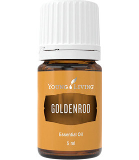 Goldenrod (Goldrute) 5ml - Young Living Young Living Essential Oils - 2