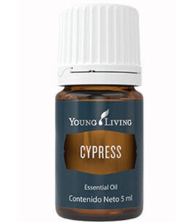 Cypress 5 ml - Young Living Young Living Essential Oils - 1
