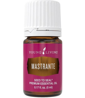 Mastrante 5ml - Young Living Young Living Essential Oils - 1