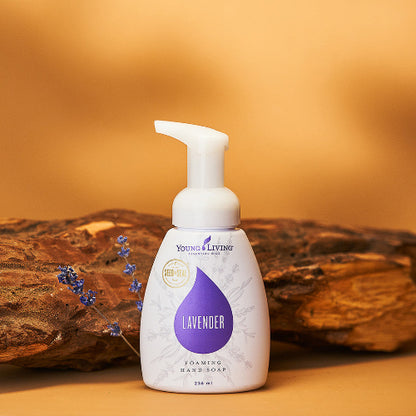 Lavendel Seifenschaum  - Young Living Essential Oil Young Living Essential Oils - 2