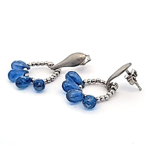 Ohrringe Disthen (Kyanit)  - 1