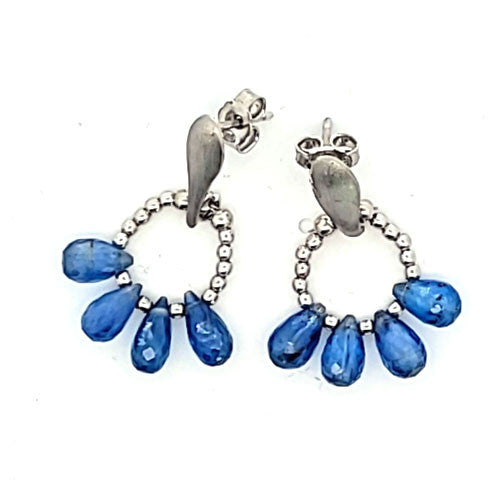 Ohrringe Disthen (Kyanit)  - 2