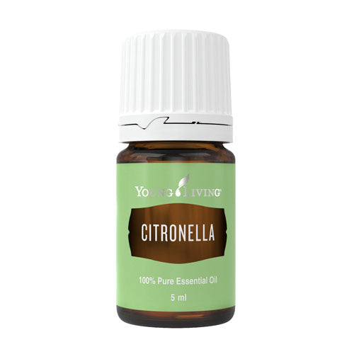 Citronella_5ml_Young-Living essential oil
