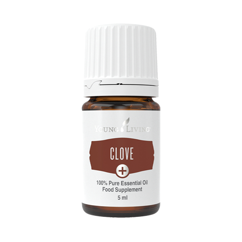 Clove_plus young living
