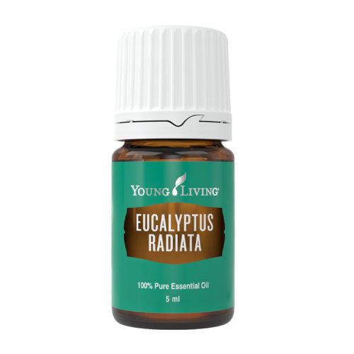 Eukalyptus Radiata 5 ml - Young Living Aromaöl