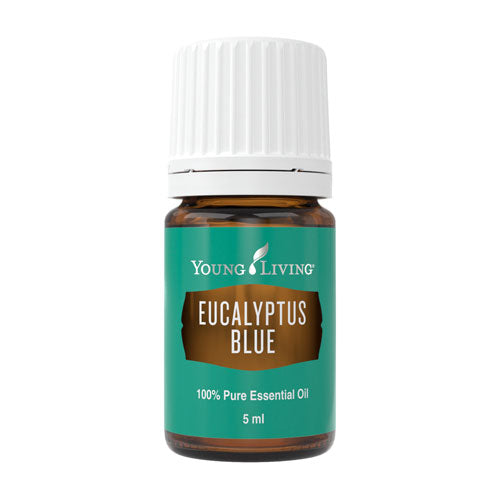 Eucalyptus Blue 5 ml - Young Living Aromaöl