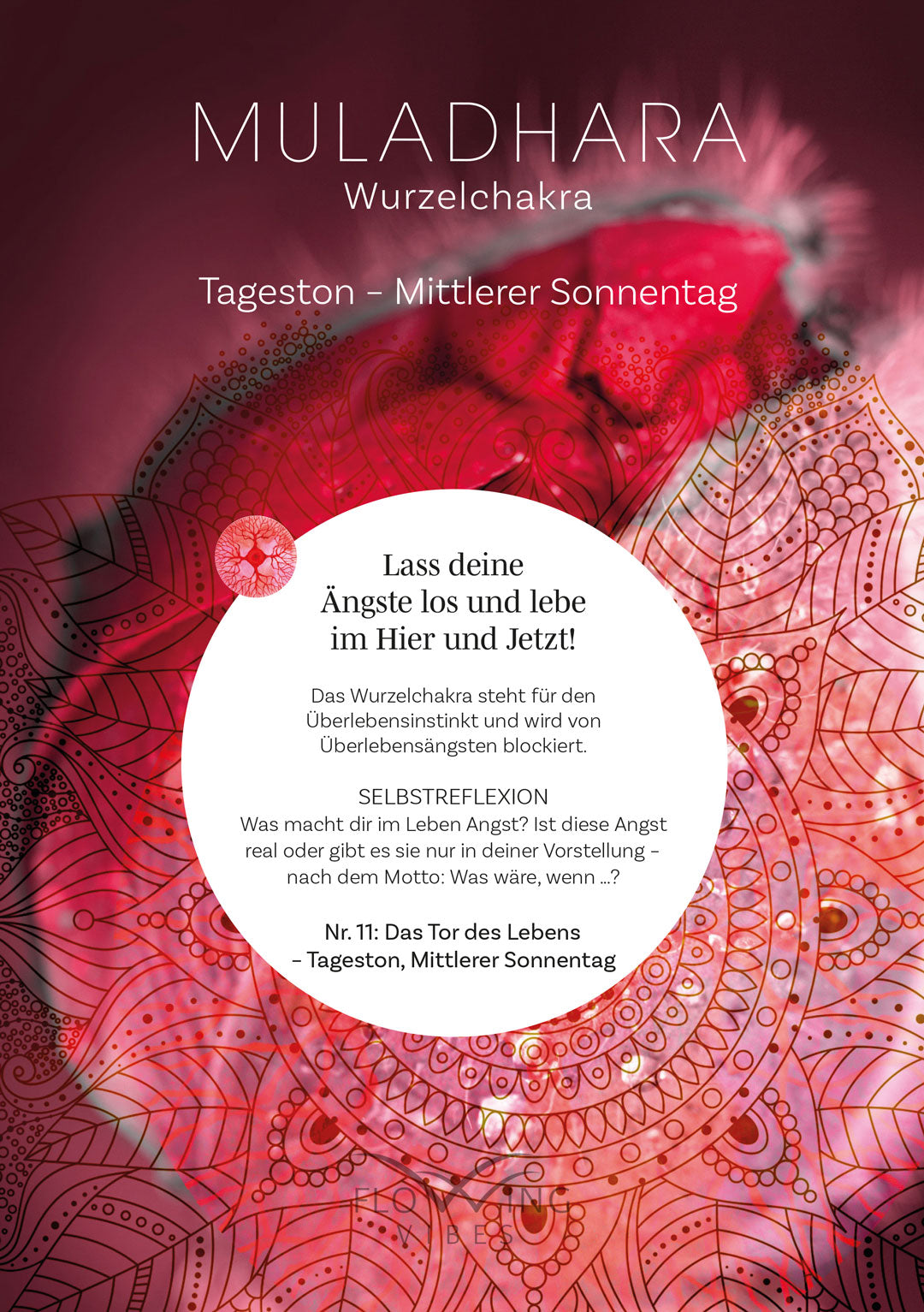 Scheda audio microSD Frequency Balance - di Monika Kefer con manuale utente di 44 pagine