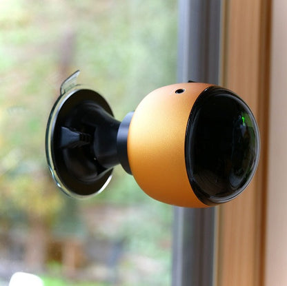 Saugnapf Eicher Music - 2