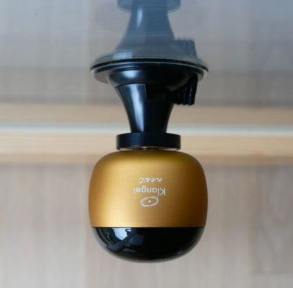 Saugnapf Eicher Music - 3