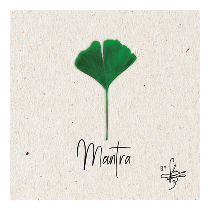 Mantra microSD Klangkarte