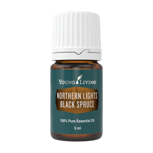 Schwarzfichte (Northern Lights Black Spruce ) 5 ml - Young Living Aromaöl