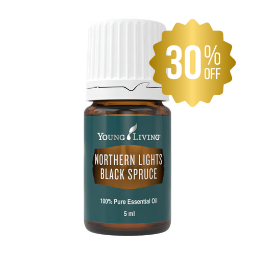 Northern_light_schwarzficht