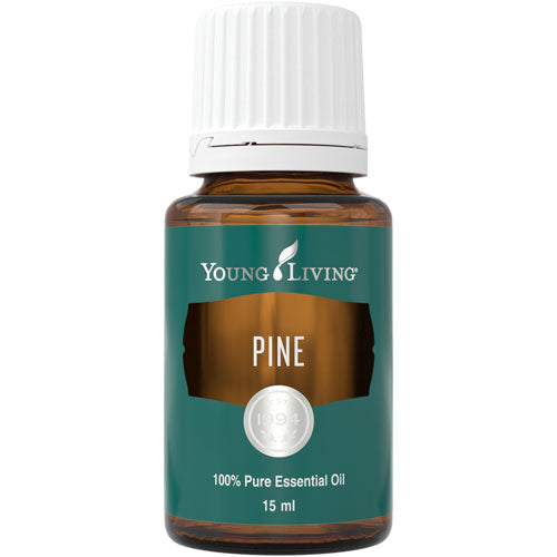Kiefer (Pine) 15 ml - Young Living Aromaöl