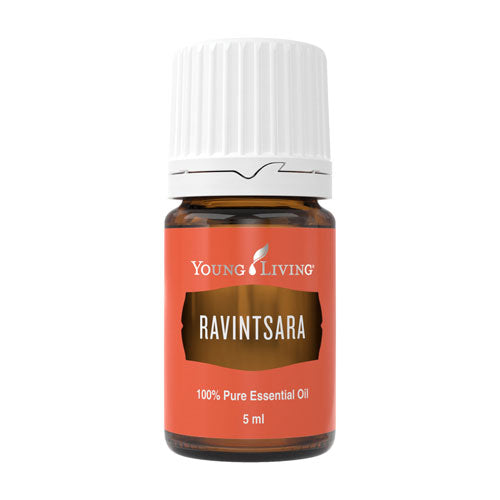 Ravintsara 5 ml - Young Living Aromaöl