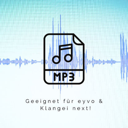 SOMNIA Edition - SD Karte Eicher Music - 4