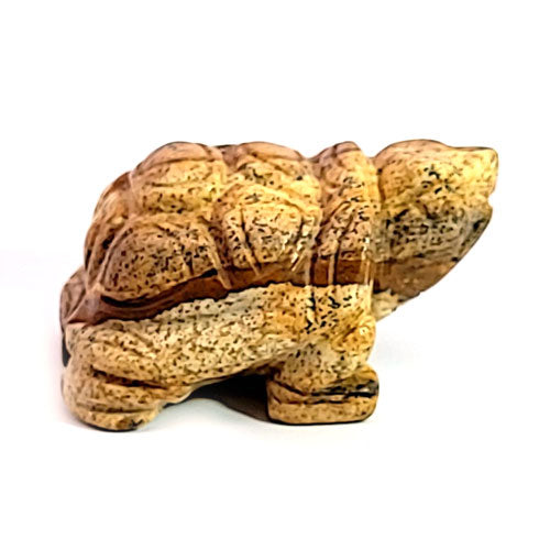 Schildkröte Bilderjaspis 