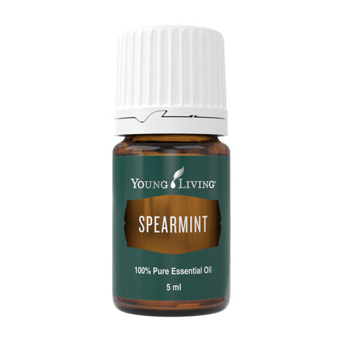 Spearmint - Grüne Minze 5 ml - Young Living Aromaöl