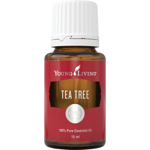 Teebaum (Melaleuca Alternifolia) 15 ml - Young Living Aromaöl