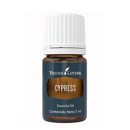 Zypresse-5-ml-Young-Living